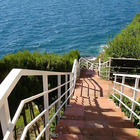 Belvedere