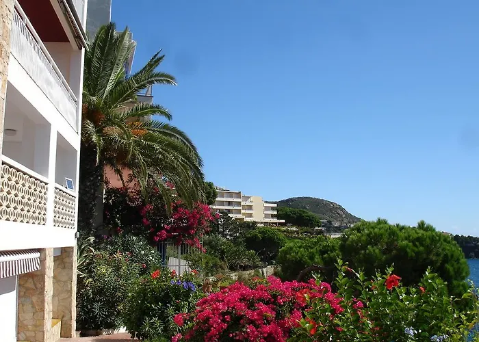 Belvedere Apartman